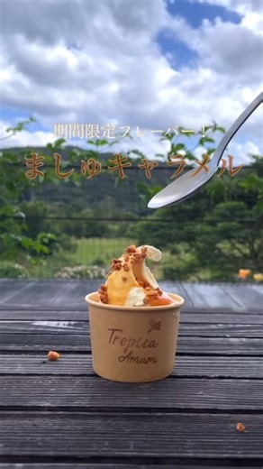 . ましゅキャラメル ましゅ は奄美の方言で “塩”という意味です。 奄美群島の与論島（よろんとう）の ミネラルたっぷりの ましゅを使用し、 ほろ苦いキャラメルで キャラメリゼしたナッツをのせて 食べるバニラベースのジェラートは 味のバランスが絶妙です🍨！ 毎年、大人気のフレーバーです。 期間限定なのでぜひこの機会に お召し上がりください。 ◇—————————◇ 奄美の素材にこだわった 天然の彩りジェラートをご提供しております🍨 ジェラテリア Tropica Amami ||営業日:火曜〜土曜（11:00-16:00） ||定休日:日曜日 月曜日 #ましゅ #ましゅキャラメル #天然塩 #ジェラテリア #カフェ #ジェラート#奄美 #奄美大島 #奄美 #龍郷町 #奄美旅行 #奄美旅 #奄美スイーツ #奄美カフェ #奄美カフェごはん #離島 #離島カフェ #農福連携 #地産地消 #サステナブル #世界自然遺産 #あまみん #就労継続支援b型 #リワーク#amami #gelato #herbtea | あまみん＆Tropica Amami