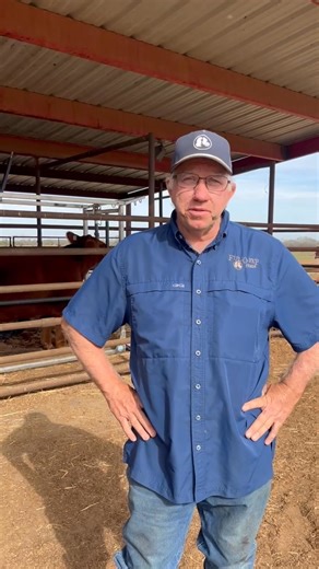 Bryan Bettice, Ful-O-Pep Sales Manager, worked for us even when a teenager and summers during college. He left Texas for a while (gasp) then he thankfully came back to us and now leads our sales team. Bryan is also full of information on raising show animals, especially steers and heifers. | Ful-O-Pep Feeds