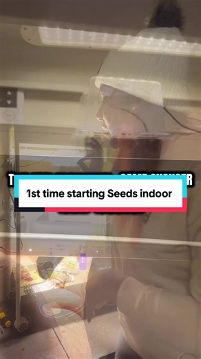 I just started my FIRST seed trays ever 😭🌱 First time seed starting indoors and I’m officially obsessed!! This Vego Garden two-tier grow light setup is TOP TIER — the light quality is AMAZING and you can adjust it for seedlings, microgreens, and even fruiting plants 🤯🔥 If you’re thinking about starting seeds inside… this is your sign. 👉🏾 Link in bio to my setup! #SeedStarting #VegoGarden #IndoorGardening #FirstTimeGardener #GardenTok