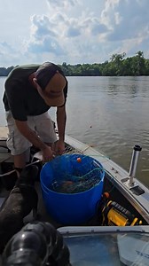 8.8K views · 56 reactions | Plenty of CATFISH BAIT in 5 minutes How do you like to catch bait? This video we used a gill net to catch plenty of bait for a night of fishing in 5 minutes. Let us know what you use. | KATFISH-Clothing | Facebook