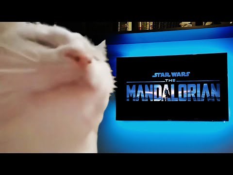 Watching The Mandalorian Credits Be Like...