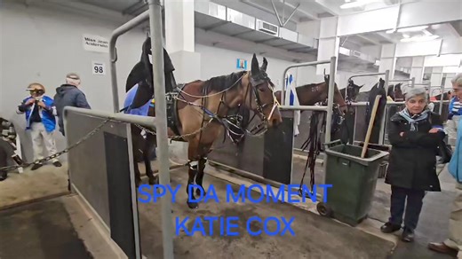 In a tribute to Katie Spy Da Moment ran his last race at Addington Raceway , sit back and enjoy. | Harness Racing Unhinged