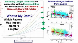 Telomere Length Test #6: Correlations With Diet – Lifeboat News: The Blog