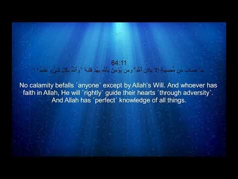 Sheikh Noreen Muhammad Siddiq - Surah 64 At Taghabun / الشيخ نورين محمد صديق - سورة ٦٤ التَّغابُن