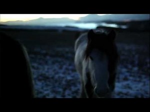 Jonny - You Was Me (official video)