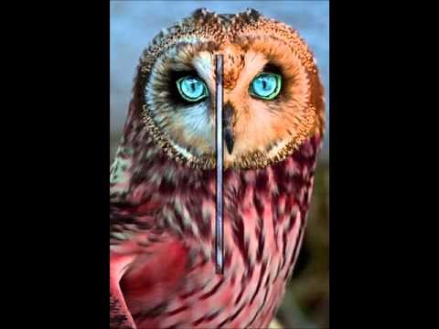 La paloma - Parranda De Cantadores