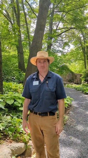 15 reactions | Check out the different types of hostas at the Garden. There are so many varieties that you can grow at home. Perfect for adding lush, green beauty to your garden. Stay tuned for tips on growing hostas in the coming weeks. | Green Bay Botanical Garden | Facebook