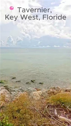 Personne ne parle de cette plage en Floride! #shorts #voyage #miami #keywest