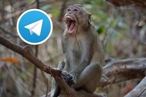 Los mejores canales de Telegram para ver bromas