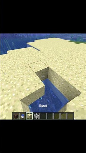 Minecraft Sand Swamp Trap 🤫