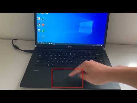 Cách sử dụng chuột cảm ứng trên laptop Dell