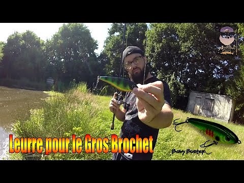 Leurre pour pêcher le gros Brochet : Baby Buster (jerkbait) CWC - GoPro HD
