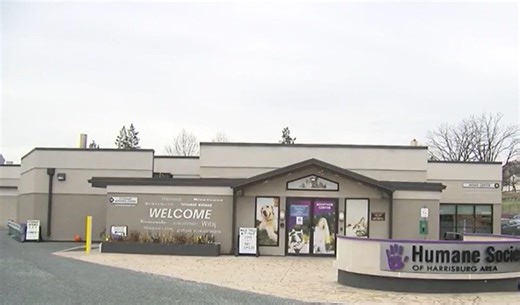 Pets from Texas floods arrive at Humane Society in Harrisburg