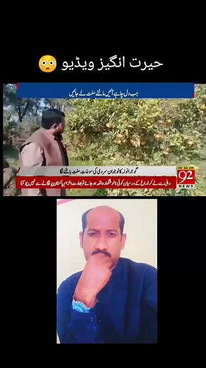 Exploring Mango Trees in Rural Settings