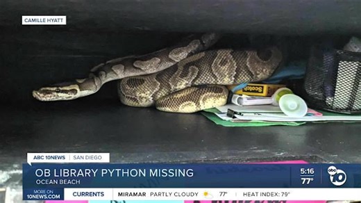 OB library python missing