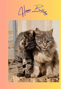 Cat Animated Birthday Card, Digital, Editable - Etsy