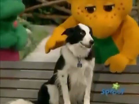 Barney & Friends: Pets/Vets (Season 10, Episode 9)