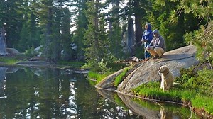 How do I report mountain lion sightings online? What about fishing resources for new anglers? CDFW mailbag