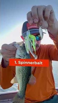 The right lure can make all the difference this fall. Which one are you throwing? 👇