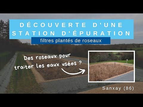 Découverte d'une station d'épuration filtres plantés de roseaux
