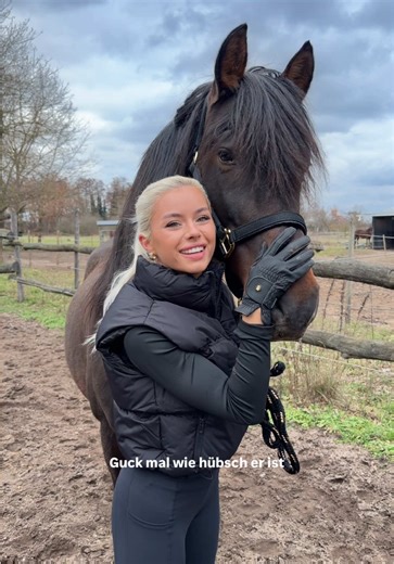 Angico wird vielleicht doch noch zum Springpferd 🤭❤️ ich definitiv nicht zu einer guten Traktorfahrerin 😂😵‍💫🚜 #pferd #pferdewelt #reitstunde