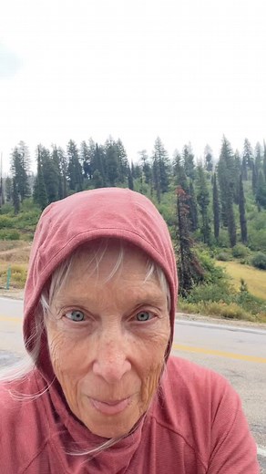 279 reactions · 82 comments | Laurie Lewis on Reels | Facebook