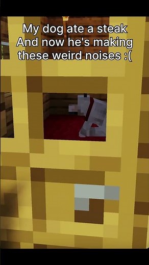 My dog ate a steak... #minecraft #minecrafthorror #funny #minecraftfunny #animatedstory #animated