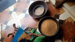 Women are winnowing the wheat grains. The act of separating grain from chaff; the winnowing was done by women. To separate unwanted chaff from grains. Unrecognized female. Face not detectable.