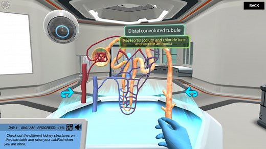 Renal Physiology: Find the mode of action of a diuretic drug | Try Virtual Lab