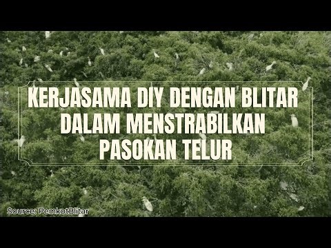 Kerjasama DIY Dengan Blitar Dalam Menstabilkan Pasokan Telur