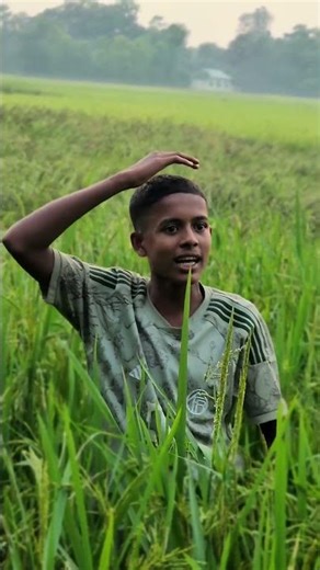 আব্বা আন্নেরে আর জমিতে কাজ করন লাগতো নো | #foryouシ #masuter #masum_story #comedyfilm #comedy #ghost