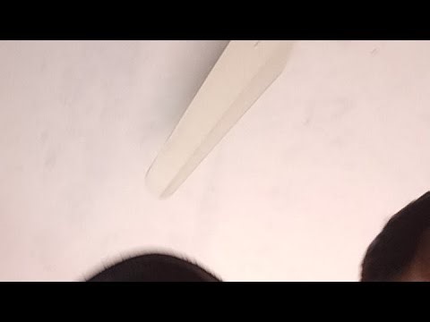 live Pakistan Vs Netherland live match/live match Pakistan versus Netherland live rz vines live