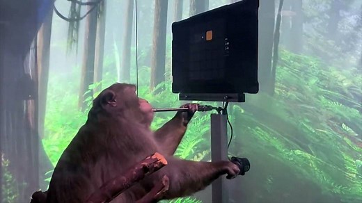 Elon Musk’s Neuralink shows monkey playing video games via brain chip