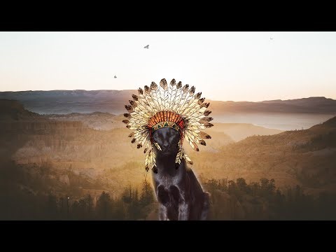 Native American Indian Music For Cats