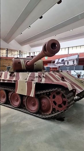 Here's just some of what you get to experience as part of a Tiger Day Premium Experience!