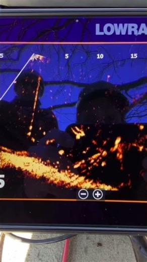 Active target for crappie! #activetarget #livescope #crappiefishing #crappie #howto