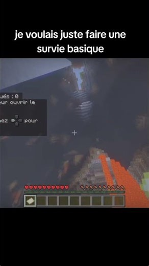 je voulais juste faire une survie Minecraft tranquille#minecraft