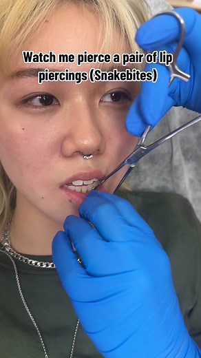 These are so popular lately and im LOVING IT 🖤 Follow my insta to see my work 📲 #snakebitespiercing #doublelippiercing #lippiercing #lippiercingcheck #snakebitepiercing #piercedgirls #piercinglovers #piercingsoftiktok #sydneypiercer #sydneypiercing #earcurationsydney #piercingstudio #piercingcuration #piercingvideo #piercerlife #piercersoftiktok #fyp