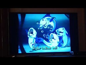 At The Codfish Ball 🎶