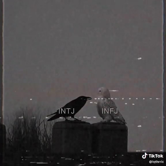 Exploring INTJ and INFJ Personalities in MBTI