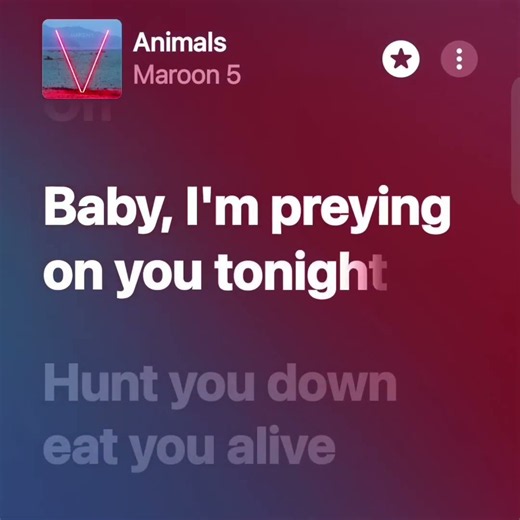 Animals - Maroon 5 | #spotify #music #audio #songlyrics #lyricvideo #lyrics #song