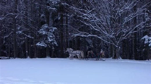 Videos A.Christmas.Prince.The.Royal.Wedding.2018.HDRip.XviD.AC3-EVO[EtMovies] | OK.RU