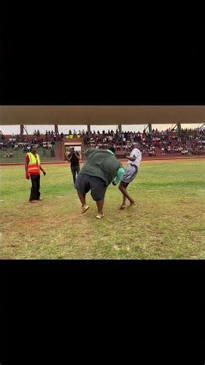 He is hunting over him like Tiger #combatsports #musangwe #sports #mma #boxing #fight #ufc #mma #