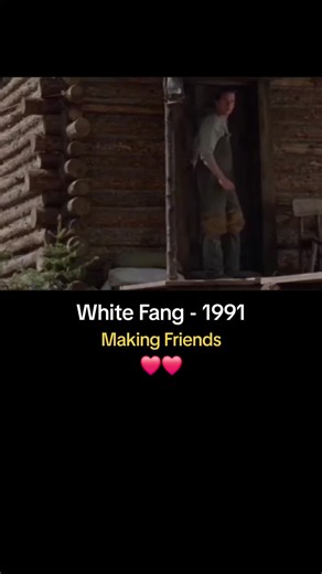 White Fang - 1991 Man and Wolf making Friends #whitefang #ethanhawke #wolf #1991