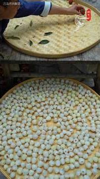 Traditional Lychee Liquor Brewing 🍶 Sweet Fruit, Timeless Craft & Rural Wine Making