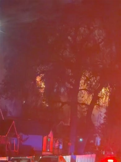 Porterville Stringer on Instagram: "Porterville Fire Press Release- PORTERVILLE FIRE DEPARTMENT STRUCTURE FIRE – FATAL INCIDENT, PLANO AVENUE & HARRISON STREET Porterville, CA - Early this morning, at approximately 12:35 a.m., the Porterville Fire Department and the Porterville Police Department responded to a residential structure fire near the intersection of Plano Avenue and Harrison Street. Upon arrival, first-arriving crews encountered a well-involved two-story residence with heavy fire con