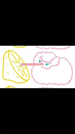fluffle puff taste lemon ‪@FlufflePuff‬ #meme