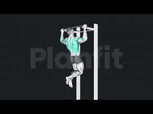 How to Pull Up, 3D animation,gif