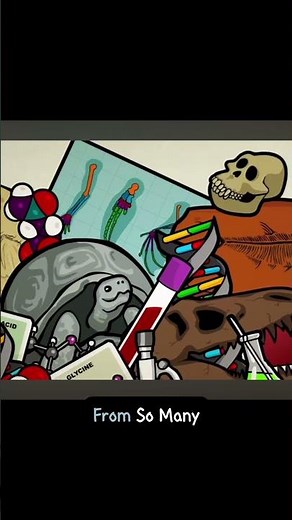 Independent lines of evidence #evolution #truth #reality