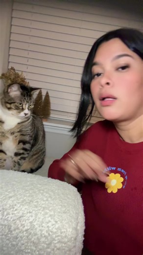 Saile musett_37 (@sailemuset)’s videos with canela_coral - Canela